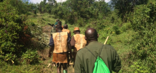 Batwa Experience, Trail in Uganda