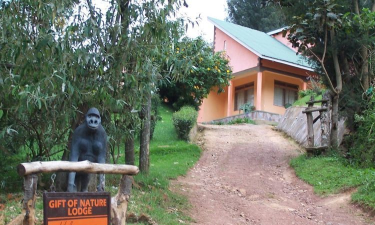 Gift of Nature Lodge | Bwindi Impenetrable Forest National Park