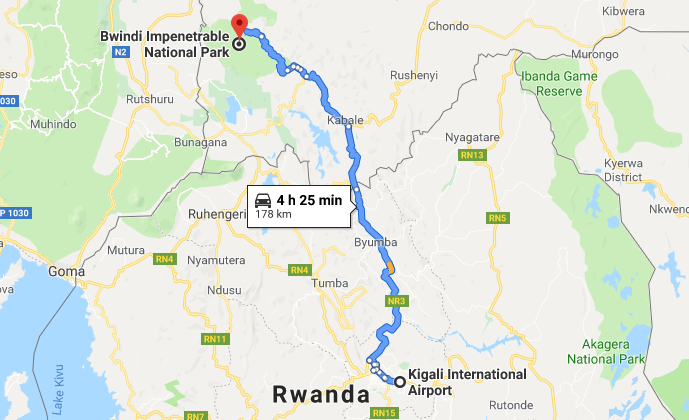 Gorilla Trekking In Uganda From Kigali