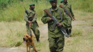 Virunga National Park Ranger Attack