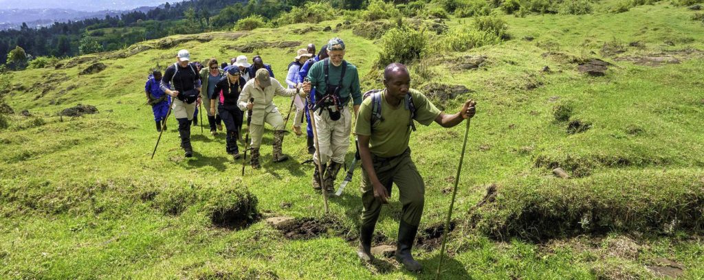 4 Days Rwanda Gorilla trekking and Mount Karisimbi hiking safari