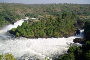 14 Days Best of Uganda, Rwanda, and Congo