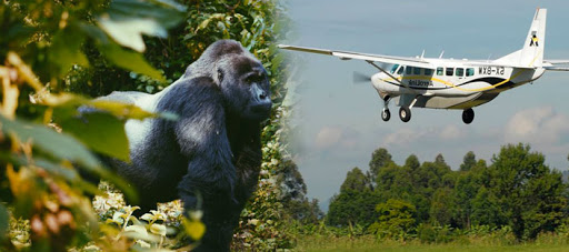 Flying safaris in Uganda
