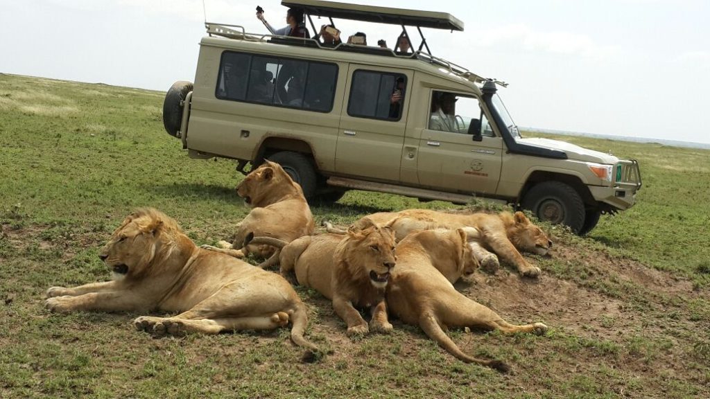 14 days Uganda Rwanda safari